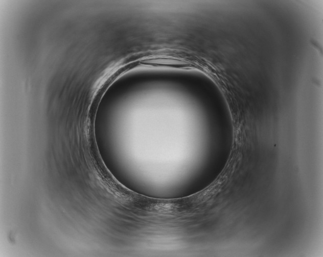 X0000100340152200806051546
