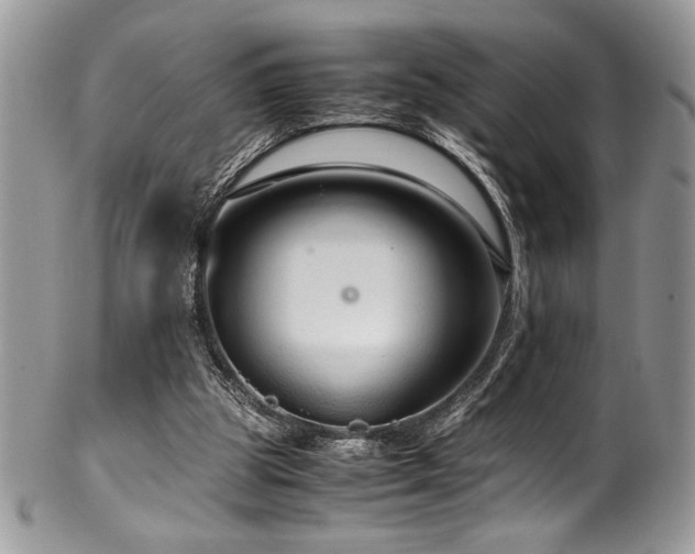 X0000100340153200806051546