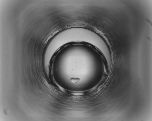 X0000100340154200806051546