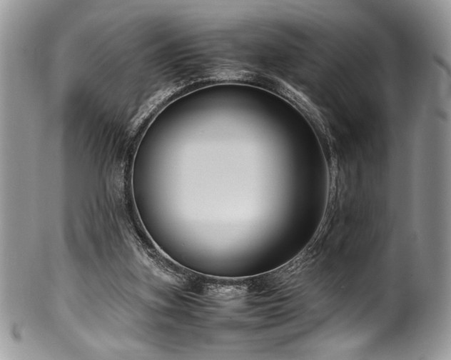 X0000100340155200806051546