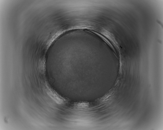 X0000100340156200806051546