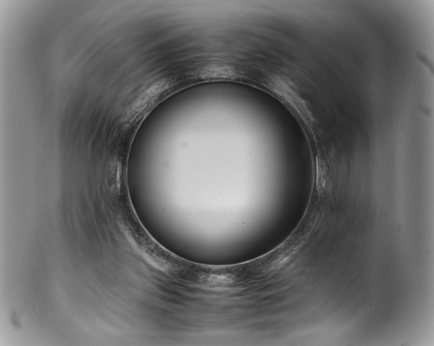 X0000100340157200806051546