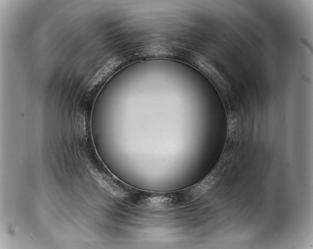 X0000100340158200806051546