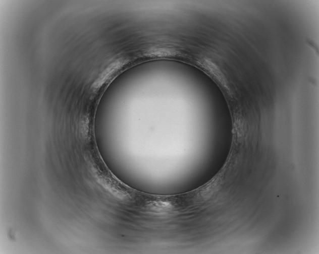 X0000100340159200806051546