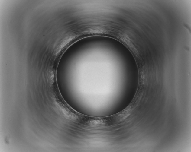 X0000100340160200806051546
