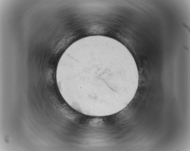 X0000100340162200806051546
