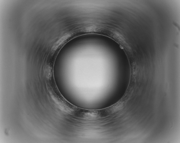 X0000100340164200806051546