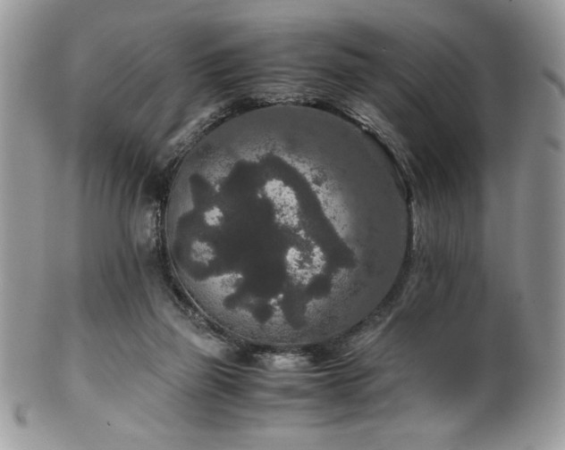X0000100340165200806051546