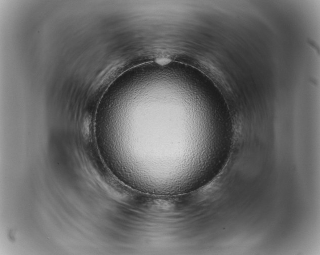 X0000100340166200806051546