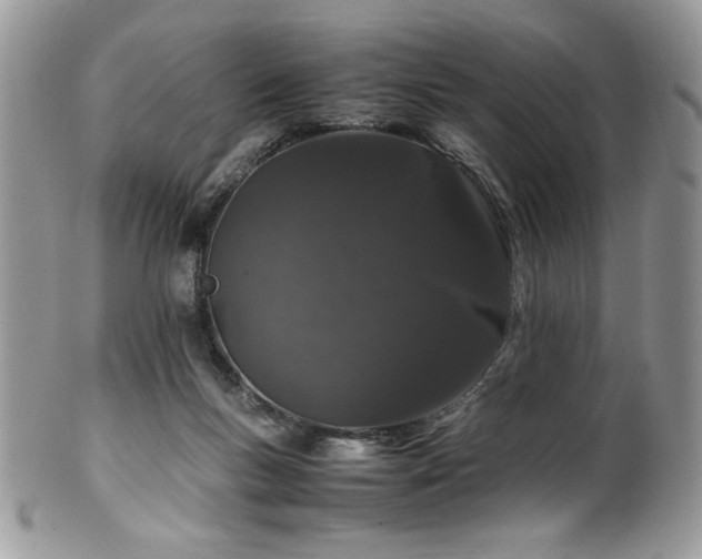 X0000100340167200806051547