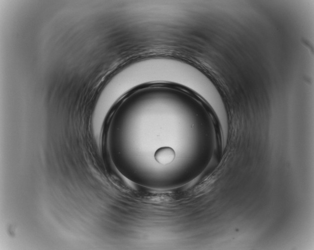 X0000100340168200806051547