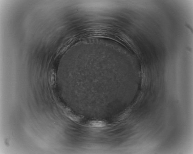 X0000100340169200806051547