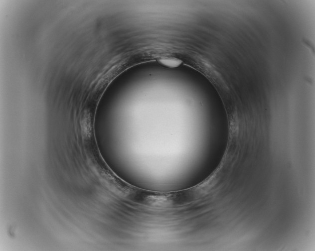 X0000100340170200806051547