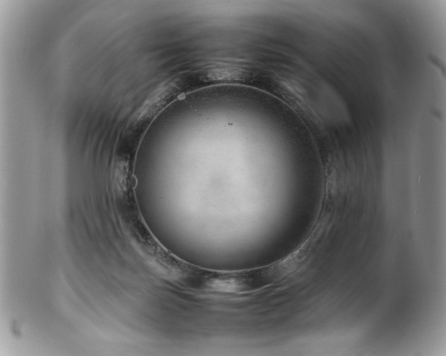 X0000100340171200806051547