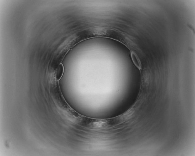 X0000100340172200806051547