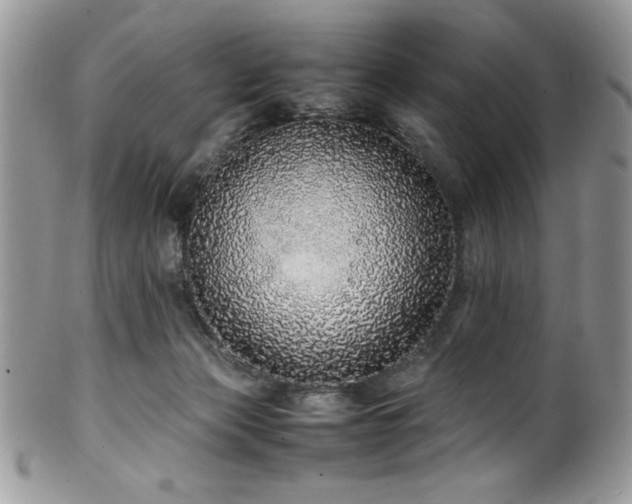X0000100340173200806051547