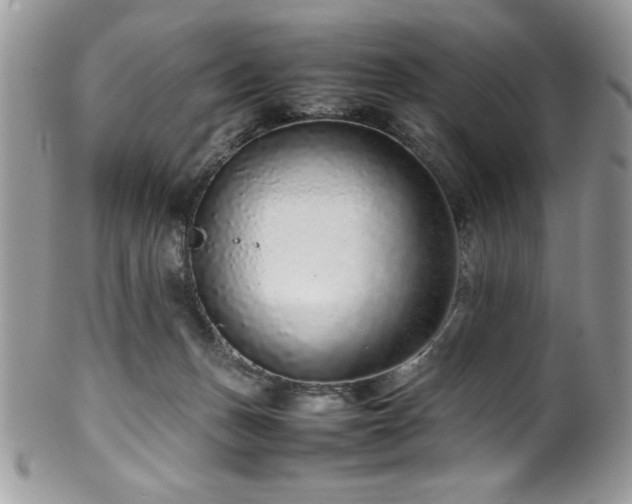 X0000100340175200806051547