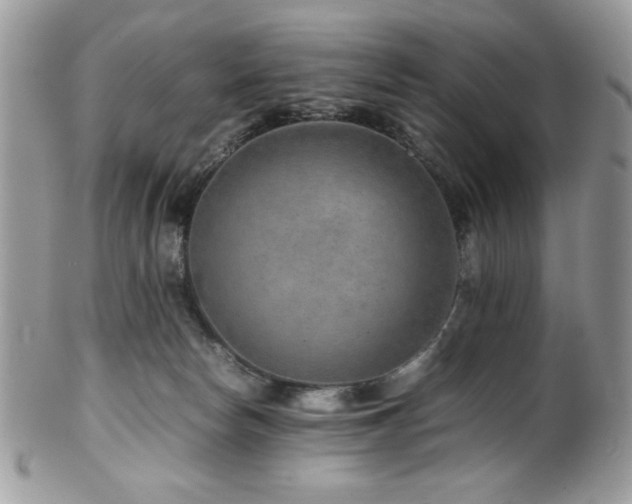 X0000100340178200806051547