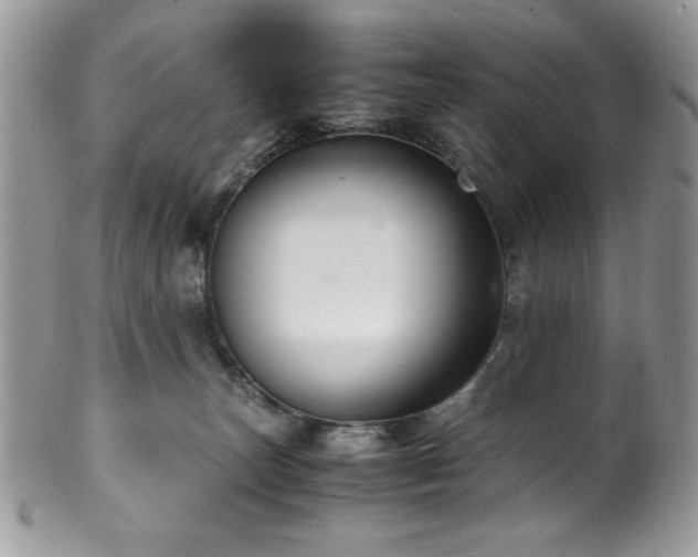 X0000100340179200806051547