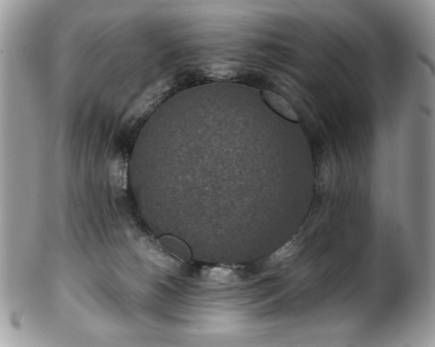 X0000100340180200806051547