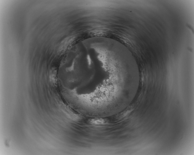 X0000100340181200806051547