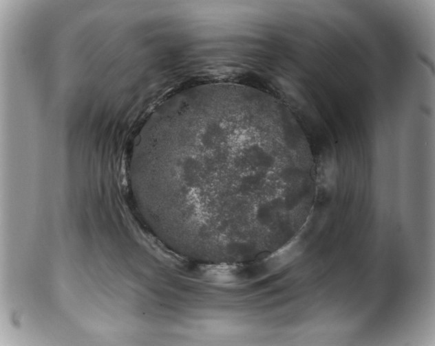 X0000100340182200806051547