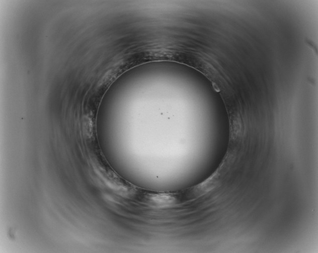 X0000100340183200806051547