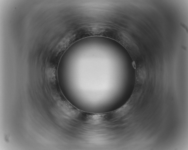 X0000100340184200806051547