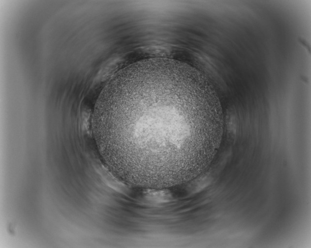 X0000100340185200806051547