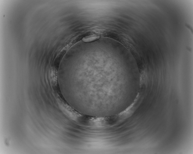 X0000100340186200806051547