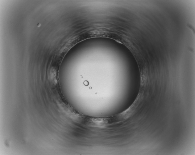 X0000100340187200806051547