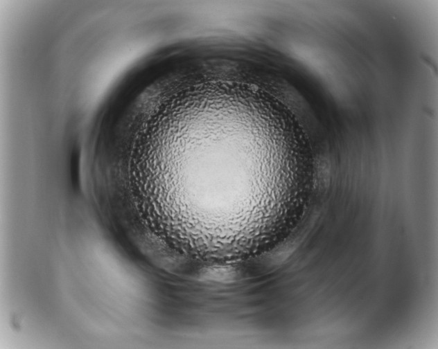 X0000100340189200806051547