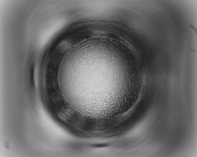 X0000100340191200806051547