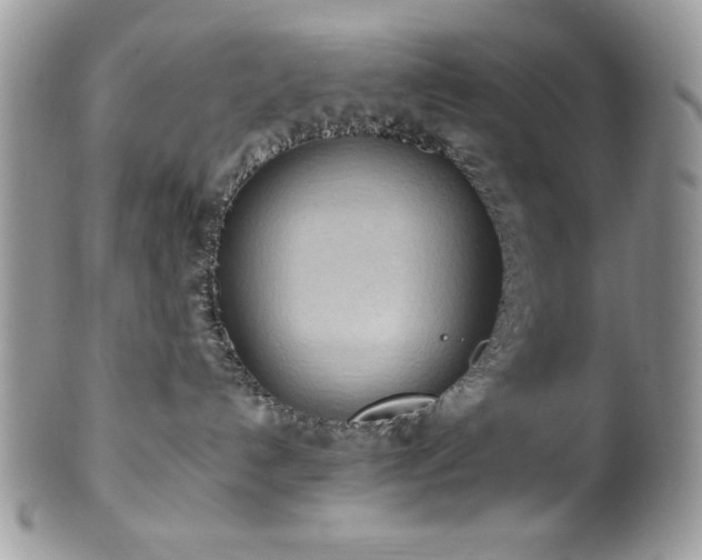 X0000100340192200806051547