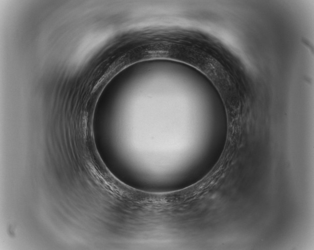 X0000100340194200806051546