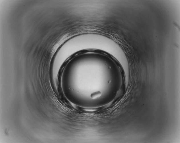 X0000100340195200806051546