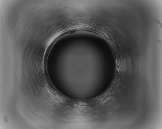 X0000100340196200806051546