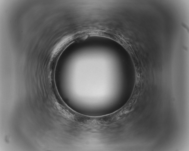 X0000100340197200806051546