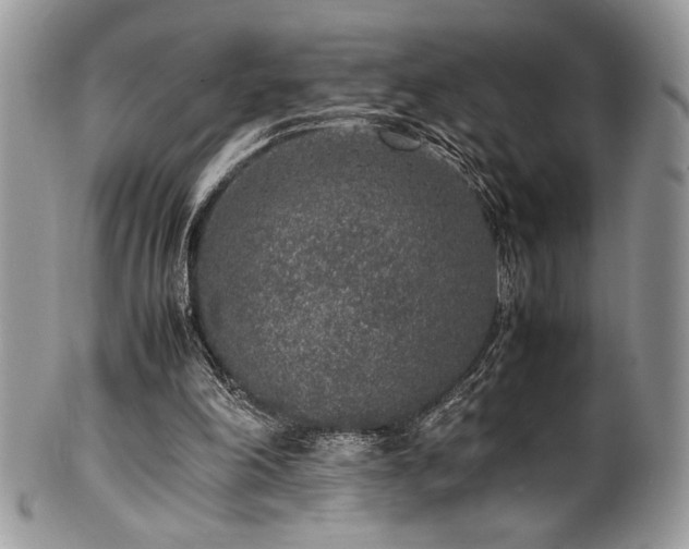 X0000100340198200806051546