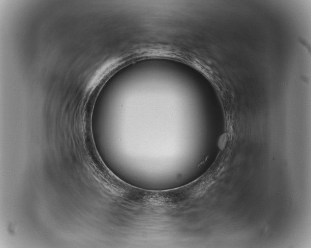 X0000100340199200806051546
