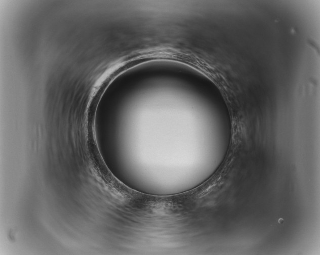 X0000100340200200806051546