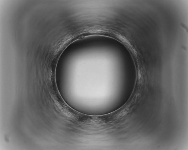 X0000100340201200806051546