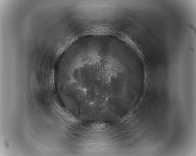 X0000100340202200806051546
