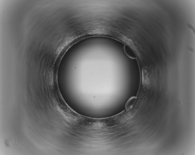 X0000100340204200806051546