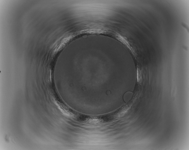 X0000100340205200806051546