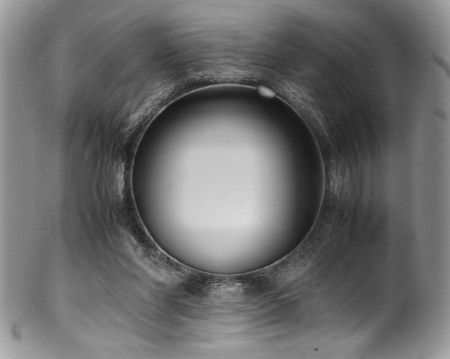X0000100340206200806051546