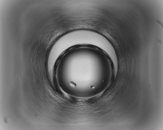 X0000100340207200806051546