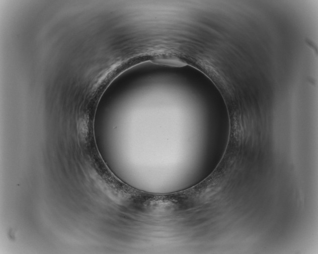 X0000100340208200806051546