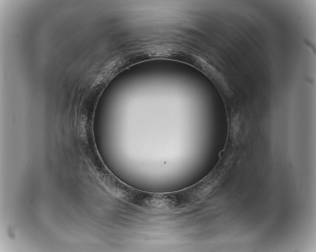 X0000100340209200806051546