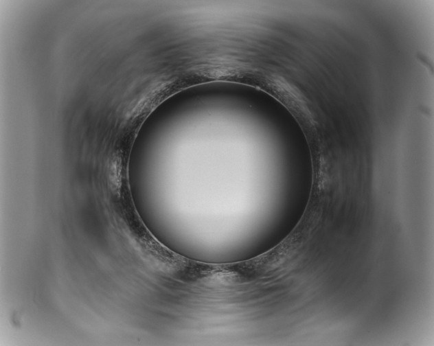 X0000100340210200806051546